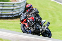 PJ-Motorsport-2019;anglesey;brands-hatch;cadwell-park;croft;donington-park;enduro-digital-images;event-digital-images;eventdigitalimages;mallory;no-limits;oulton-park;peter-wileman-photography;racing-digital-images;silverstone;snetterton;trackday-digital-images;trackday-photos;vmcc-banbury-run;welsh-2-day-enduro
